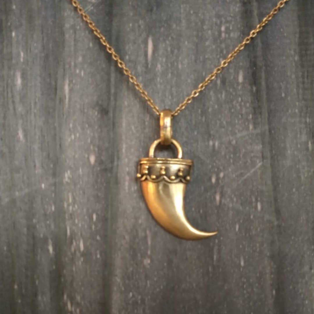 Tiger nail Pendant by Chicory Chai Jewel Box by ARNAV