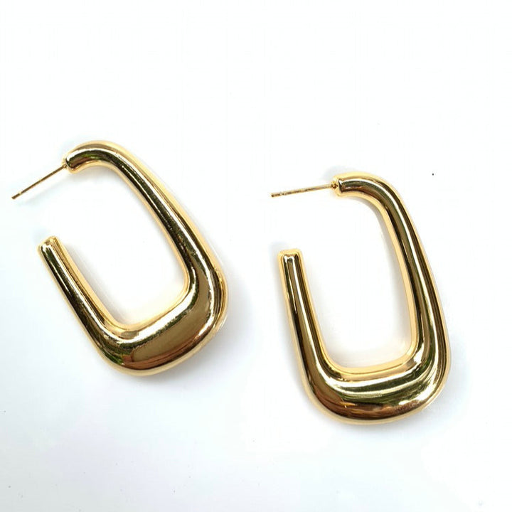 Trendy Hoops Earrings