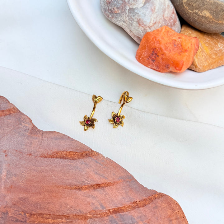 Aavanshi Silver Bugudi