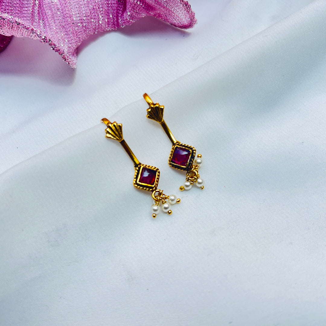 Aarisha Silver Bugudi