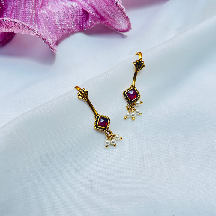 Aarisha Silver Bugudi