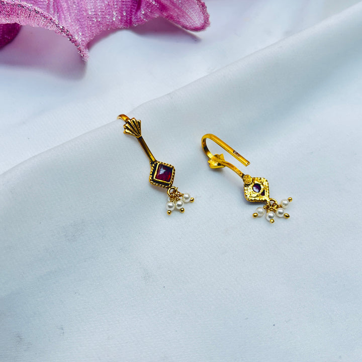 Aarisha Silver Bugudi