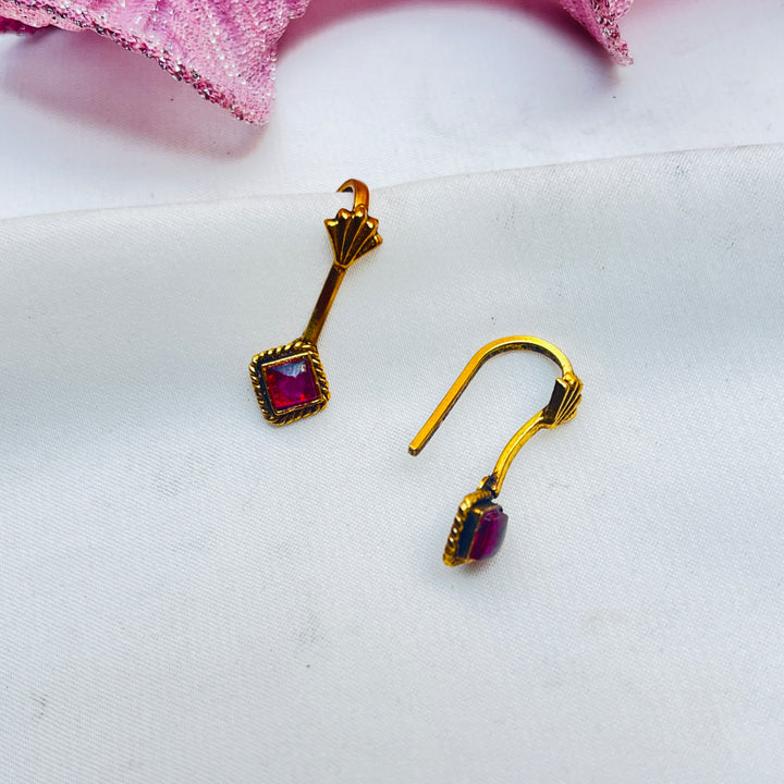 Vayusha Silver Bugudi