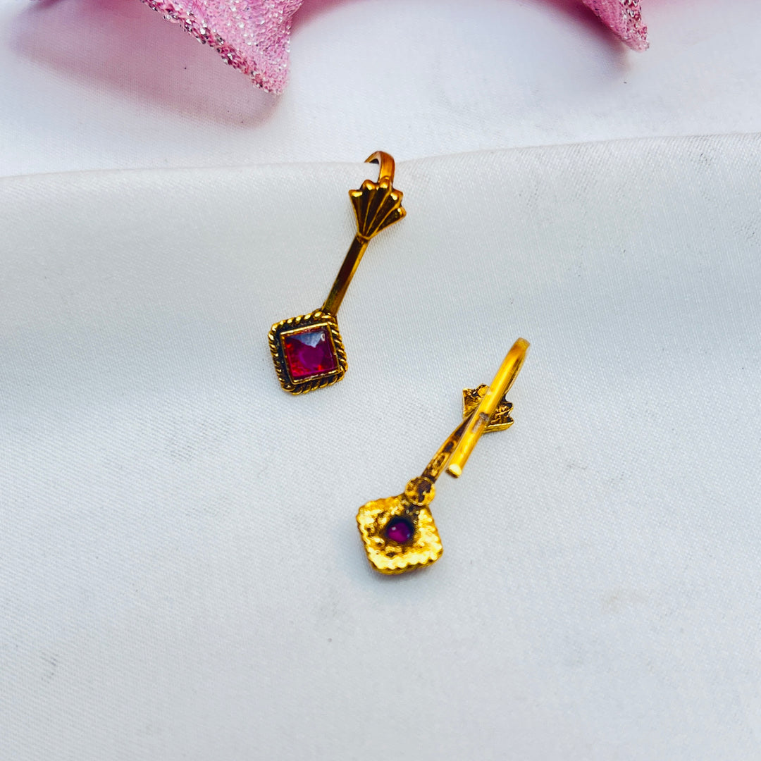 Vayusha Silver Bugudi