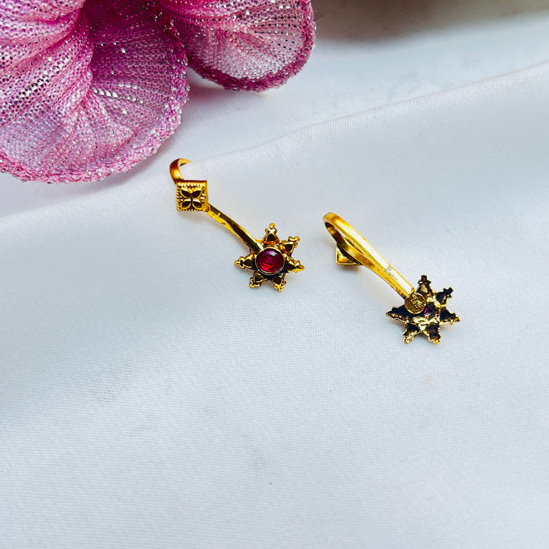 Zivika Silver Bugudi